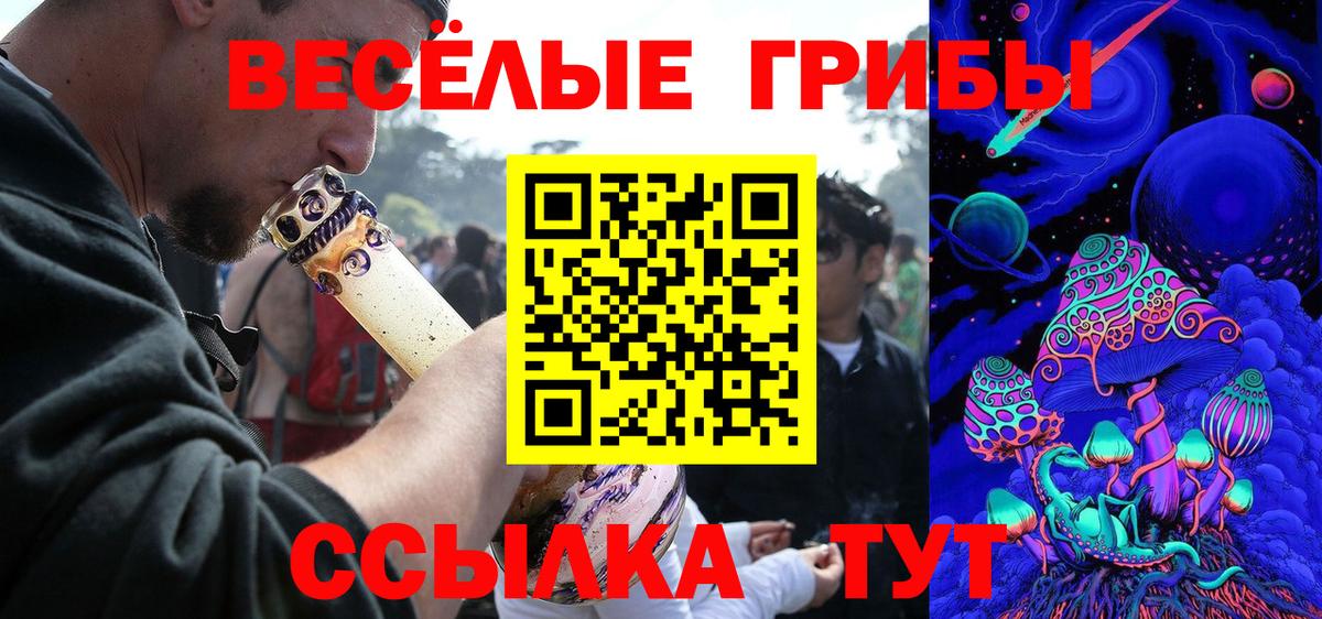Галлюциногенные грибы Psilocybine cubensis  закладки  Сорочинск  Вход с VPN 